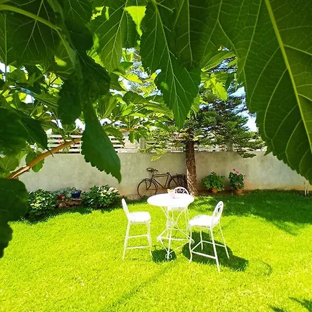 Arodo Apartament *